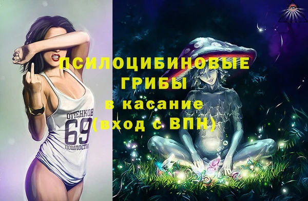 spice Алзамай