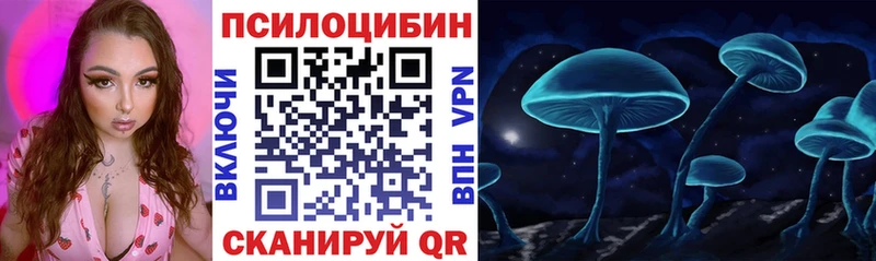 Галлюциногенные грибы Psilocybe  купить наркотик  даркнет официальный сайт  Анжеро-Судженск 